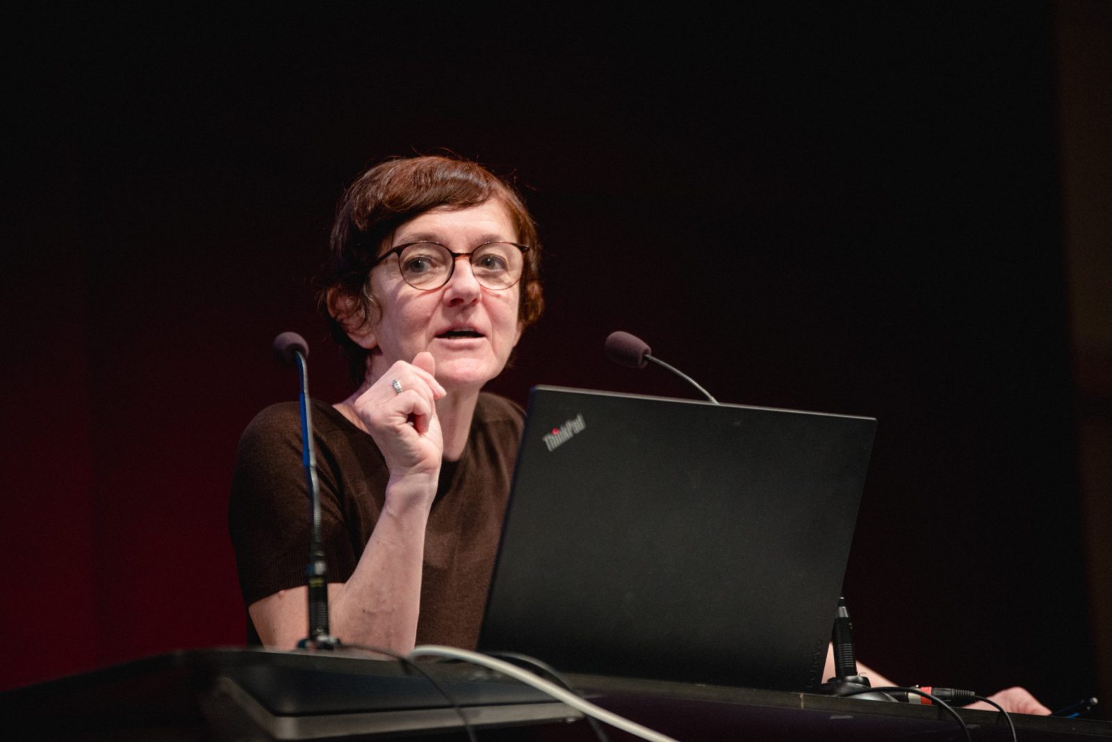 Vortrag von Mag.a Elli Scambor auf der Fachtagung der Frauenhäuser